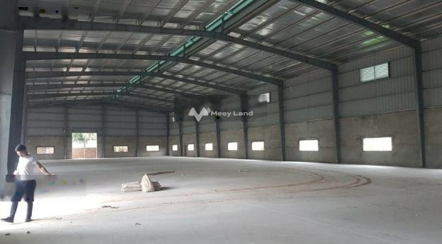 Vị trí tiện lợi Quán Trữ, Kiến An cho thuê kho bãi 1500m2 thuê ngay với giá tốt từ 75 triệu/tháng vị trí thuận lợi