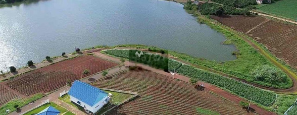 Vị trí ngay trên Phúc Thọ, Lâm Hà bán đất giá mua ngay chỉ 3.7 tỷ diện tích mặt tiền 741m2-02