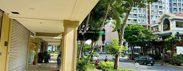 Khẩn trương cho thuê shophouse mặt tiền tọa lạc ngay tại Tân Phú, Hồ Chí Minh giá thuê gốc chỉ 31 triệu/tháng có diện tích trung bình 67m2-03