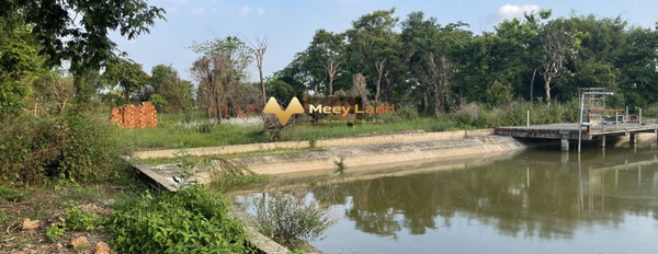 Bán đất ở Huyện Hóc Môn, Hồ Chí Minh có diện tích rộng 11000m2-03