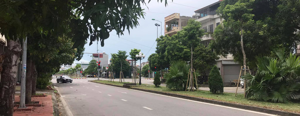 Cần bán đất mặt đường đôi Nguyễn Văn Linh, thành phố Hải Dương, 108m2, mặt tiền 6m, đường 30m, vỉa hè 5m, giá tốt-02