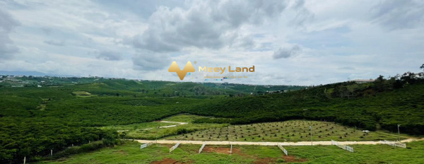 Vị trí hấp dẫn Bảo Lộc, Tỉnh Lâm Đồng bán đất giá đề xuất từ 1.55 tỷ dt sàn là 508 m2-03