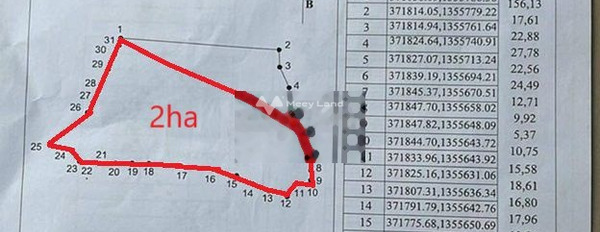 Ở Tuy Đức, Đắk Nông bán đất 350 triệu, hướng Đông diện tích tiêu chuẩn 20000m2-03