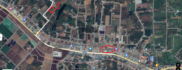 Bán đất chính chủ Hoà Ninh - Di Linh 3166m2 sát mặt tiền Quốc Lộ 20, giá 2,96 tr/m2 -03