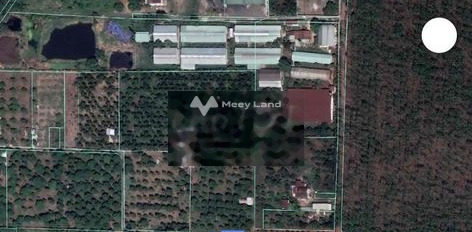 Ngay Long Khánh, Đồng Nai bán đất 7.99 tỷ có diện tích tiêu chuẩn 3338m2-02