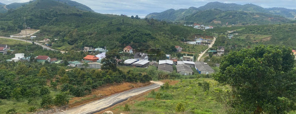 Giá siêu ưu đãi từ 30 tỷ bán đất với diện tích thực 7.88m2 vị trí đẹp nằm trên Đại Lào, Bảo Lộc-03