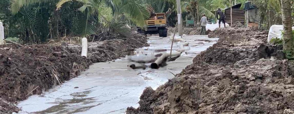 Quốc Lộ 61C, Nhơn Nghĩa bán đất giá bán siêu mềm từ 799 triệu tổng diện tích 82m2-03