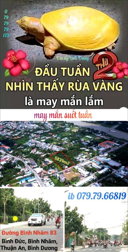 Mua bán đất huyện phú giáo tỉnh bình dương giá 93.0 tỷ-1