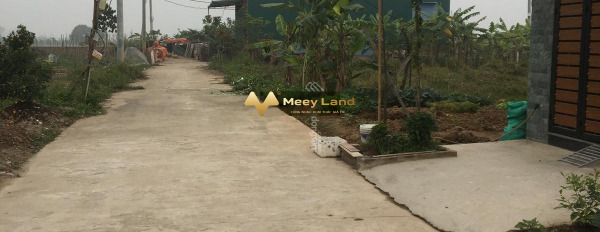 Ở Đại Lộ Thăng Long, Hà Nội bán đất 3.2 tỷ dt 62m2-02