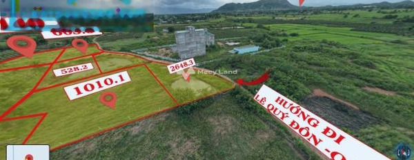 Giá hiện tại chỉ 410 triệu, Bán đất diện tích là 1140m2 mặt tiền nằm ở Hồng Sơn, Bình Thuận vui lòng liên hệ để xem trực tiếp-02