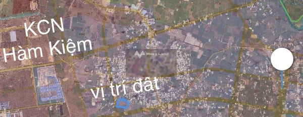 Cực hot bán đất Hàm Thuận Nam, Bình Thuận giá bán siêu khủng 11 tỷ có một diện tích là 10000m2-03