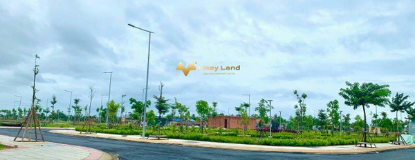 Bán đất giá 1,5 tỷ, diện tích 110m2 tại Đường Nguyễn Thị Tồn, Phường Hóa An-03