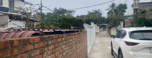 Bán đặt tại thôn Song Mai Đông, Sóc Sơn, Hà Nội. Diện tích 121m2-03