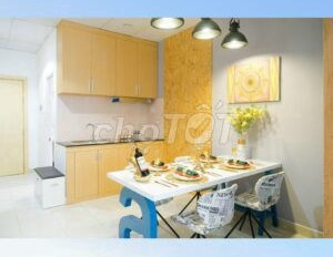 Chỉ 953 triệu bán căn hộ Diện tích nền 28m2 vị trí ngay Phường 13, Hồ Chí Minh-02