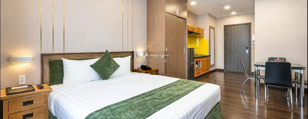 Căn hộ 1 phòng ngủ, cho thuê căn hộ ở Phường 9, Hồ Chí Minh, trong căn này gồm 1 phòng ngủ, 1 WC hãy nhấc máy gọi ngay-03
