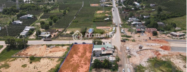 Ngay Phan Thiết, Bình Thuận bán đất 8.2 tỷ có diện tích rộng 265m2-03