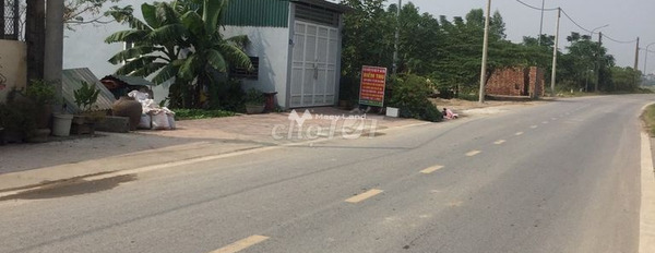 Ở Bích Hòa, Hà Nội bán đất 21 triệu diện tích chính là 300m2-02