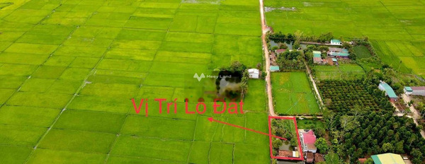 Vị trí đặt nằm trên Y Wang, Ea Kao bán đất, giá bán cực rẻ chỉ 2.65 tỷ với diện tích thực 5329m2-02
