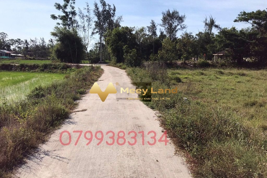 Giá bán liền từ 495 triệu, bán đất 167 m2, vị trí đẹp tọa lạc gần Phú Vang, Thừa Thiên Huế-01