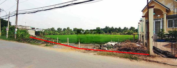 Ngay Huỳnh Hữu Trí, Bình Chánh bán đất 25 tỷ diện tích thực dài 3596m2-02