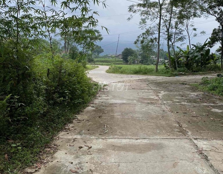 Bán đất 260 triệu Mỹ Lương, Phú Thọ diện tích sàn là 150m2-01
