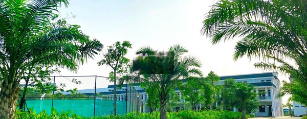Mặt tiền tọa lạc gần Hương Lộ 11, Cần Giuộc bán đất giá siêu mềm chỉ 1.6 tỷ diện tích cụ thể 100m2-03