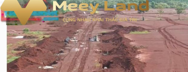 Bán đất nền ngay trung tâm thương mại Bình Phước giá 10 triệu/m2-03