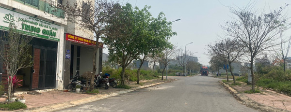 Bán lô biệt thự 2 mặt tiền siêu Vip tại khu đô thị Nam Vĩnh Yên, Vĩnh Phúc. Giá siêu đẹp-03