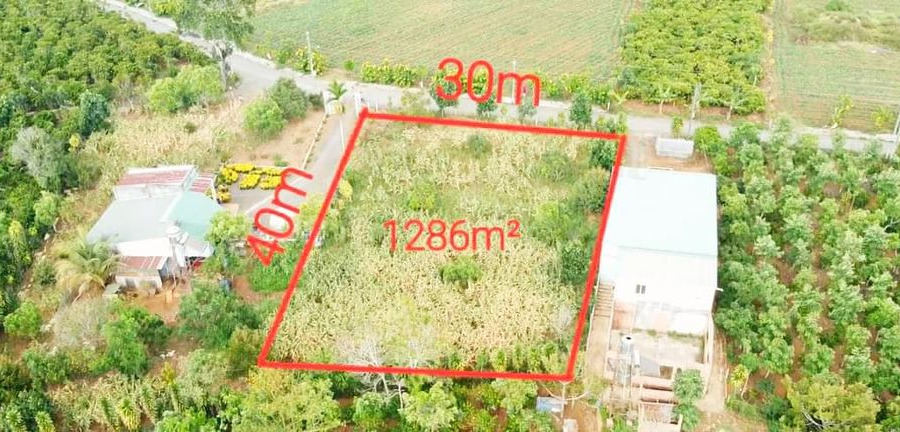 Cần bán đất huyện Bảo Lâm, Lâm Đồng giá 2 tỷ-01