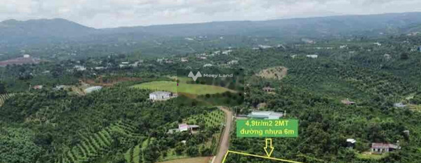Đầu tư bất động sản bán mảnh đất, 300m2 giá bất ngờ từ 1.47 tỷ vị trí tốt tại Lộc Nga, Lâm Đồng giá tốt-03