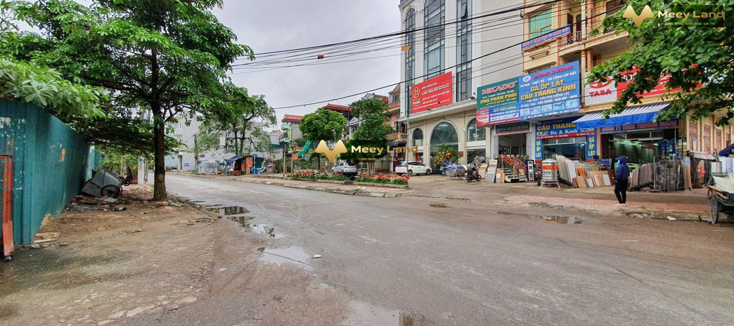 Tại Đường Bồ Xuyên, Thái Bình bán đất dt sàn là 87.5 m2