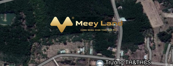 Bán đất tại Đồng Phú, Bình Phước, 250m2-03