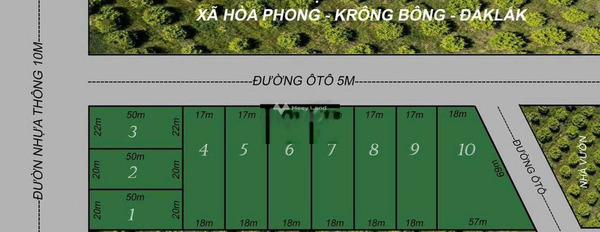 Vị trí thuận lợi tọa lạc gần Krông Bông, Đắk Lắk bán đất, giá bán công khai 250 triệu diện tích như sau 1000m2-02