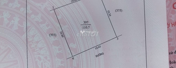 Vị trí mặt tiền ngay ở Thăng Long, Vinh bán đất, giá bán thực tế 1.33 tỷ diện tích tổng 111m2-02