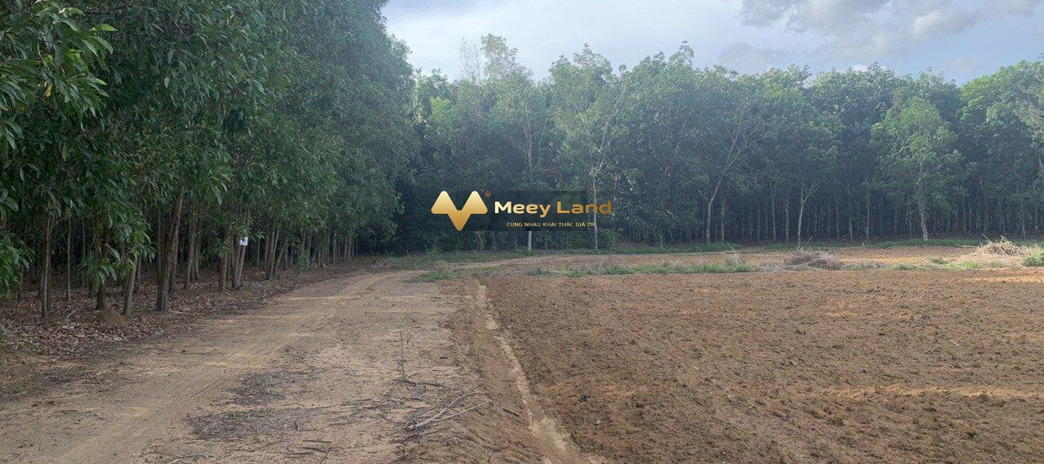 Giá khủng 2 tỷ bán đất với dt 1000m2 vị trí mặt tiền ở Xã Tân Hiệp, Huyện Long Thành