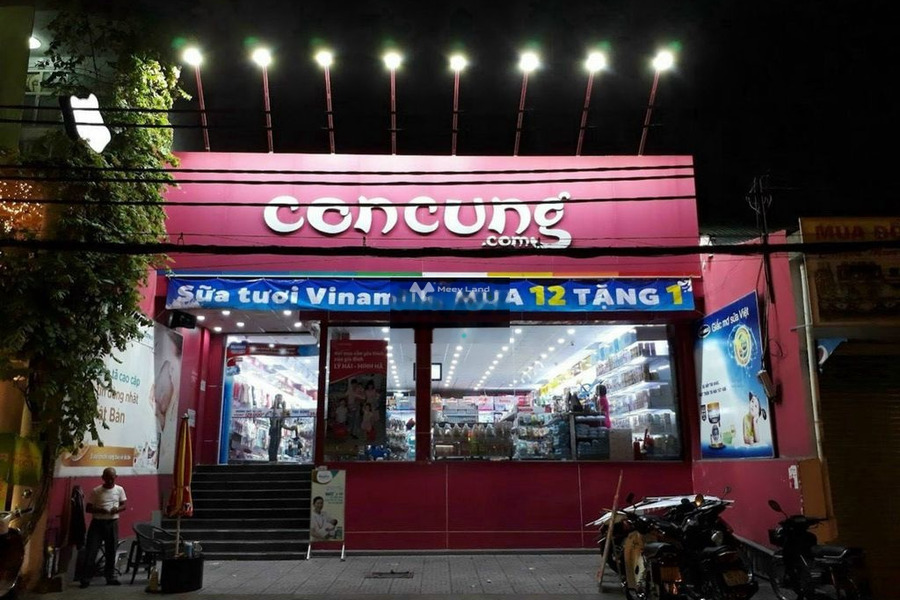 Trong nhà tổng quan bao gồm 1 PN, cho thuê nhà, giá thuê cơ bản 170 triệu/tháng với diện tích tiêu chuẩn 210m2 ở Tân Định, Quận 1-01