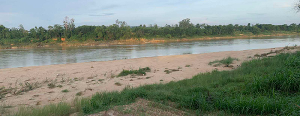 Cần bán nhanh 13 lô liền kề sát bờ sông tại xã Nghĩa Lâm, huyện Tư Nghĩa-03