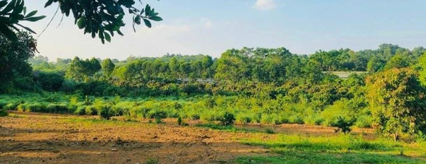 Cần bán 7000m2 siêu đẹp gần sân Golf Skylake tại Lương Sơn, Hoà Bình-03