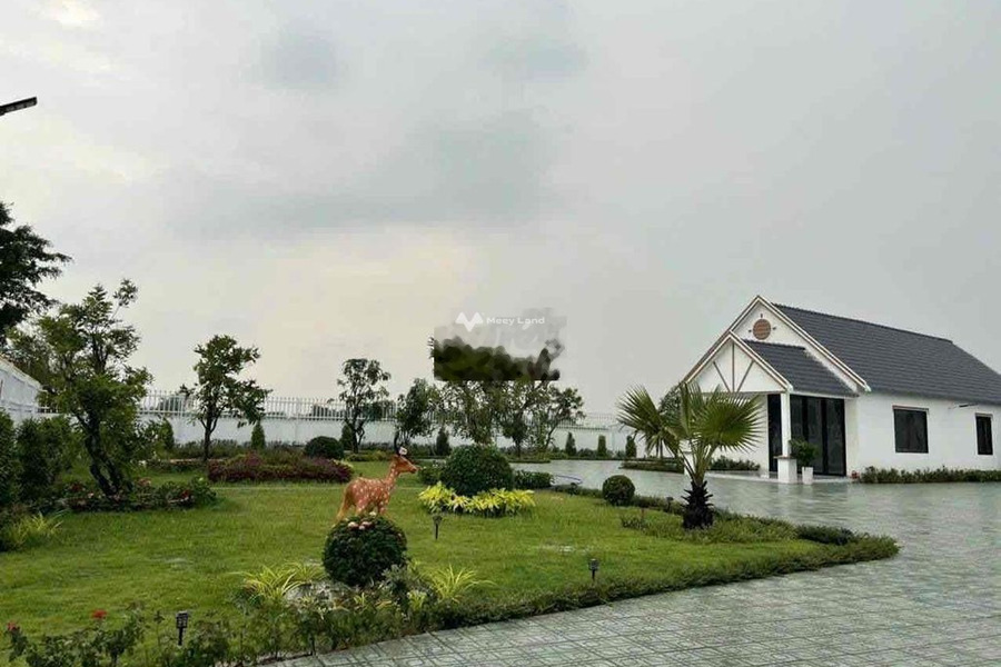 Căn nhà gồm có 2 PN bán nhà bán ngay với giá siêu mềm từ 8.5 tỷ diện tích gồm 5341m2 vị trí đẹp nằm tại An Ninh Tây, Đức Hòa-01