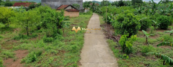 Ngay ở Xã Sông Cầu, Huyện Khánh Vĩnh bán đất giá bán mua liền 632.5 triệu có dt sàn 253 m2-03