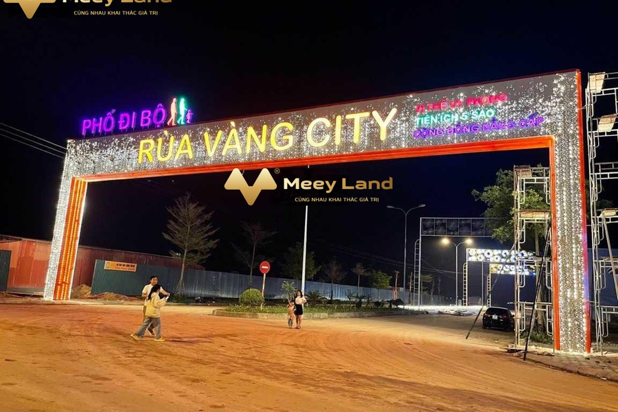 Tại Rùa Vàng City bán đất dt sàn là 70 m2 vị trí tiện lợi Thị Trấn Vôi, Bắc Giang-01