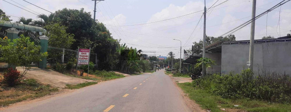 Tại Phú Ngọc, Định Quán bán đất 730 triệu diện tích như sau 100m2-03