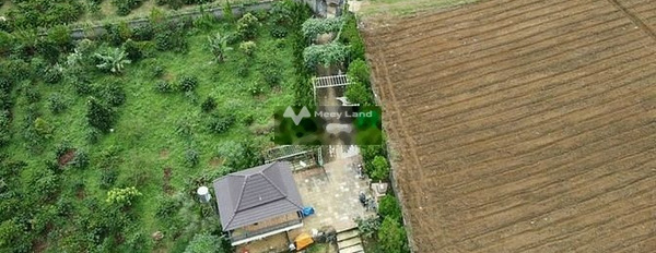 8.5 tỷ bán đất diện tích rộng lớn 2640m2 nằm ngay bên trong Hùng Vương, Bảo Lâm-02