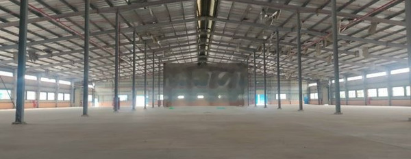 Cho thuê kho xưởng 6000m2 tại Biên Hòa, Đồng Nai -03