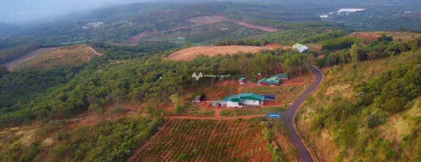 Bán đất 954 triệu Cà Mau, Đắk Nông diện tích trong khoảng 2620m2-02