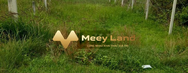 Huyện Củ Chi, Hồ Chí Minh bán đất giá bán hạt dẻ 1.3 tỷ có một dt 429 m2-03