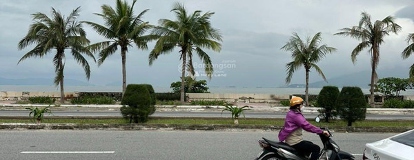 Bán đất biển đường Nguyễn Tất Thành 250m2 Thanh Khê Đông, Quận Thanh Khê, Đà Nẵng, giá siêu rẻ -02
