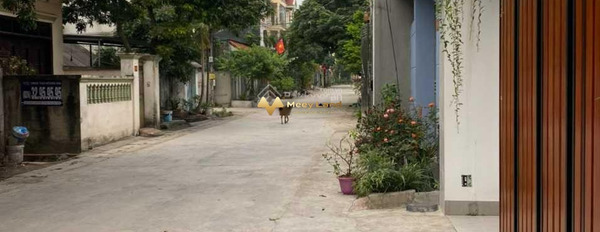 Huyện Sóc Sơn, Hà Nội 920 triệu bán đất diện tích tổng là 100m2-02