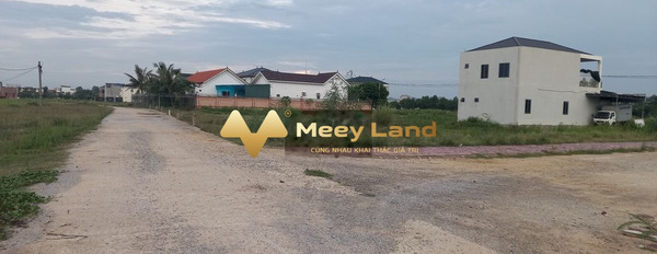 Vị trí đẹp tọa lạc ở Quỳnh Dị, Hoàng Mai bán đất giá thương lượng 1.67 tỷ dt dài 156 m2-03