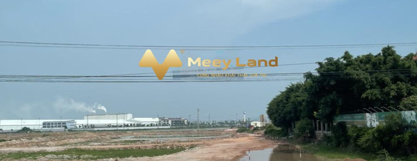 Cần bán đất sát cạnh khu công nghiệp Cộng Hòa, Chí Linh-02